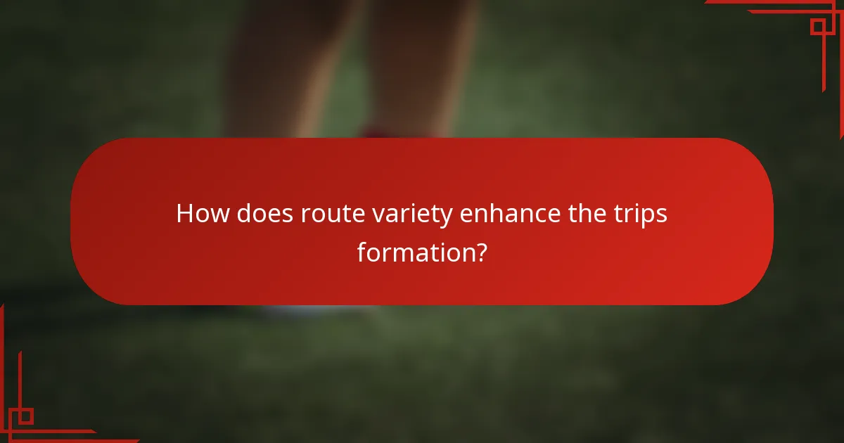 How does route variety enhance the trips formation?