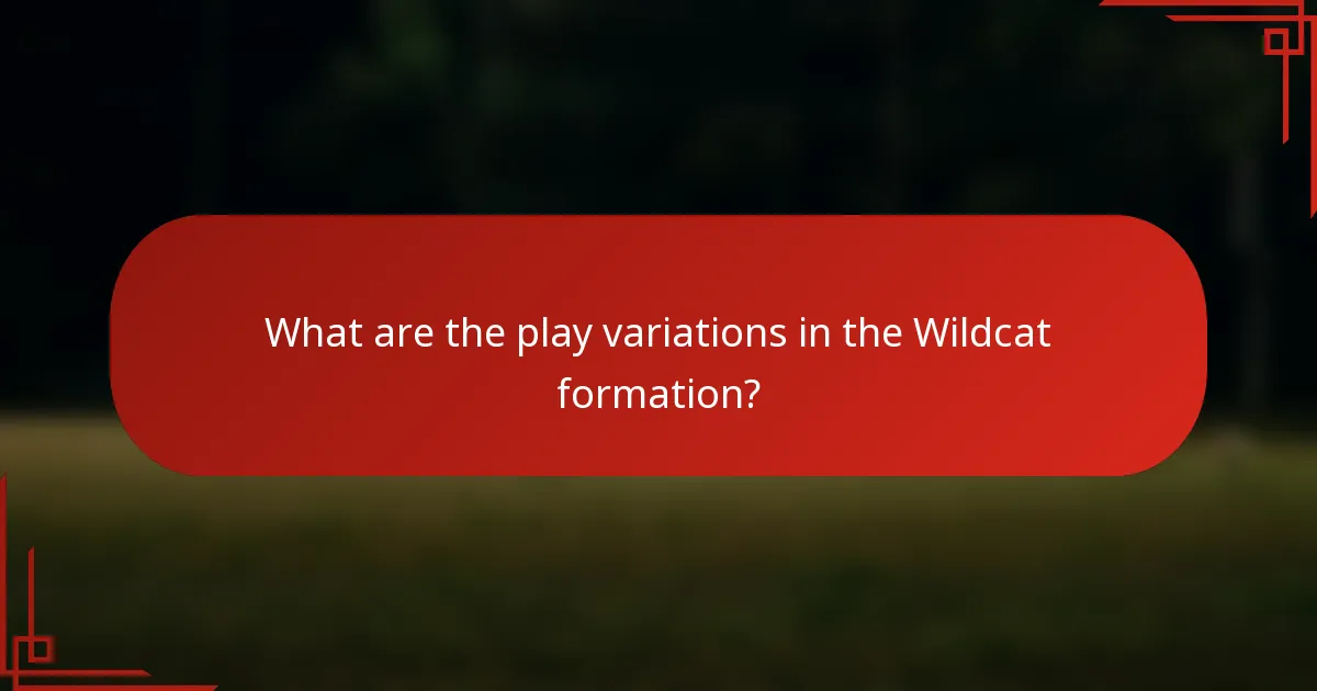 What are the play variations in the Wildcat formation?