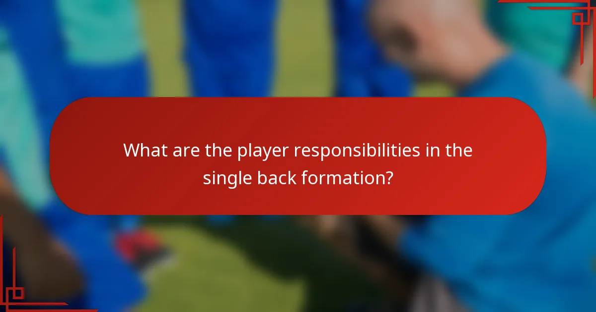 What are the player responsibilities in the single back formation?