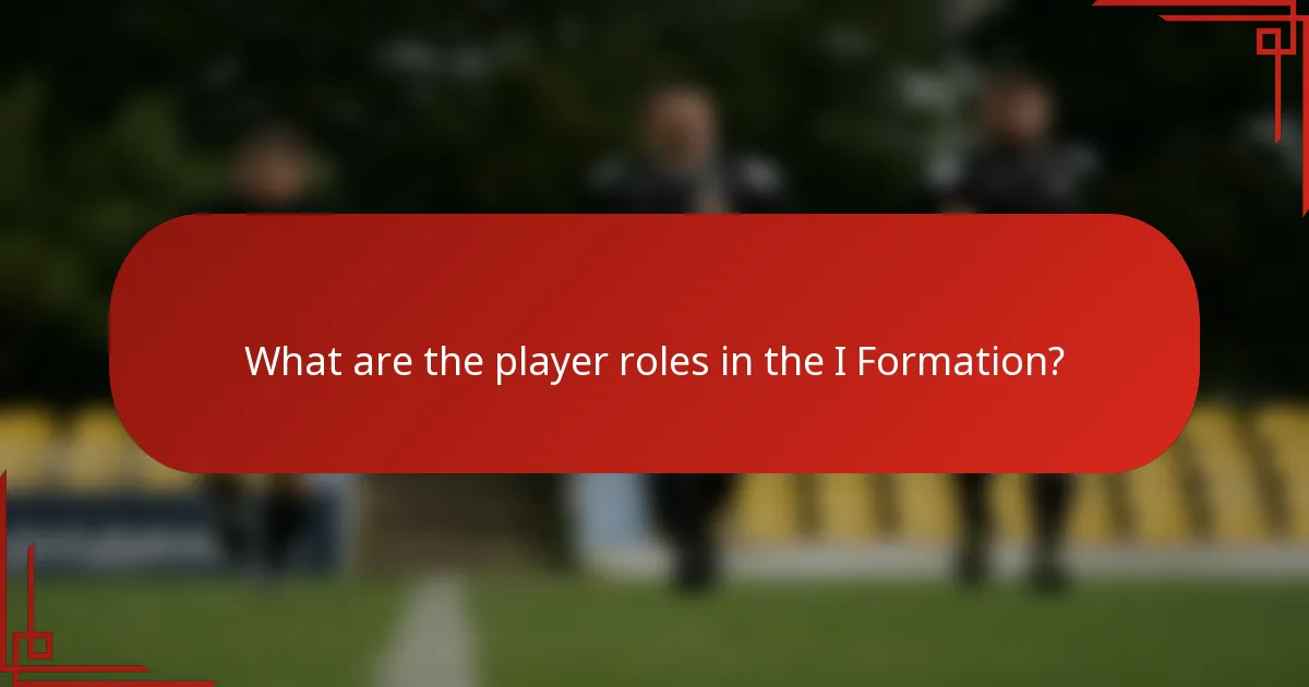 What are the player roles in the I Formation?